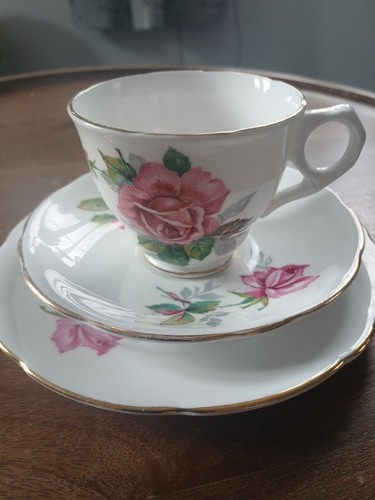Royal stafford berkeley rose - royal,