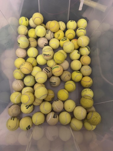 Used tennis balls 20 - used, £20