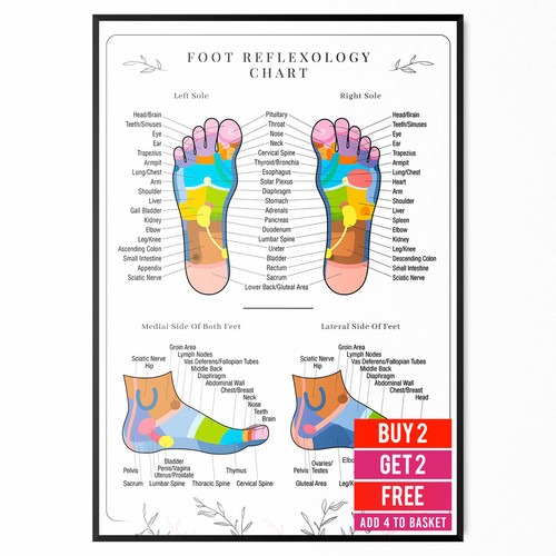 Foot reflexology poster human - foot,