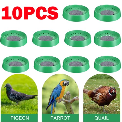 Pack breathable nest pigeon - pack,