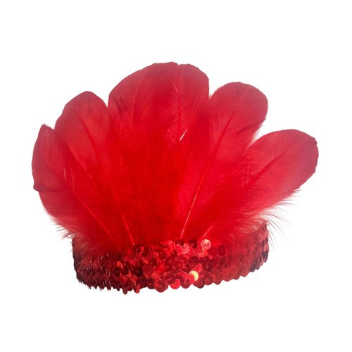 Feather headband decorative - feather,