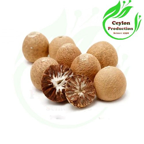 Betel nut whole bing lang - whole,