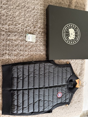 Canada goose black - canada,