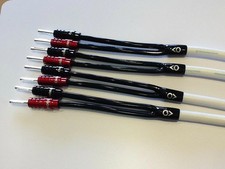 Chord C-Screen X Speaker Cable