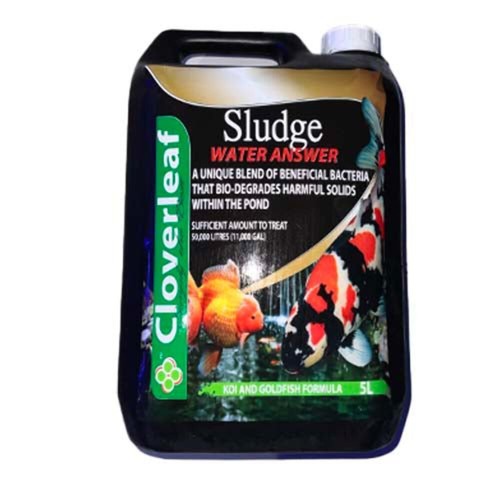 Cloverleaf sludge answer - cloverleaf,