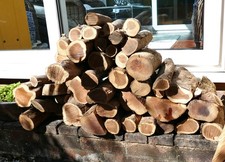 Seasoned Yew Logs for