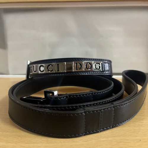 Gucci black leather - leather, dog