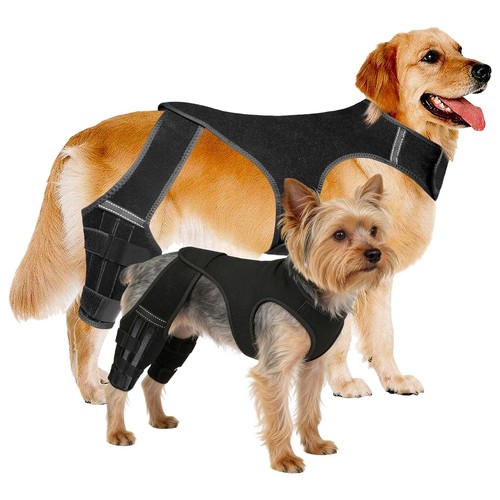 Dog hip brace - dog,