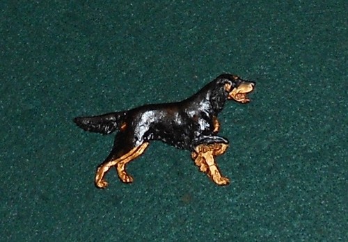 Gordon setter dog breed show - setter,