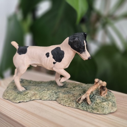 Border fine arts terrier - fine,