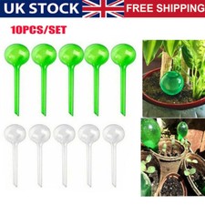 10X Plant Self Watering Bulb