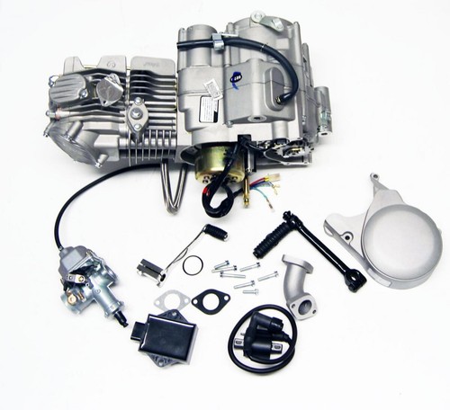 Zhongshen 155cc pit - 155cc,