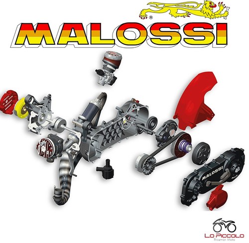 4917546 complete malossi - 4917546,