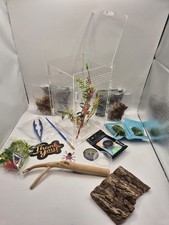 Acrylic Invertebrate Tarantula