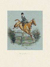 Snaffles High Leicestershire