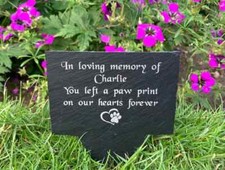 Personalised Engraved Pet