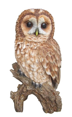 Tawny owl lifelike garden - -,