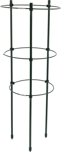 Pack round tomato cage plant - pack,