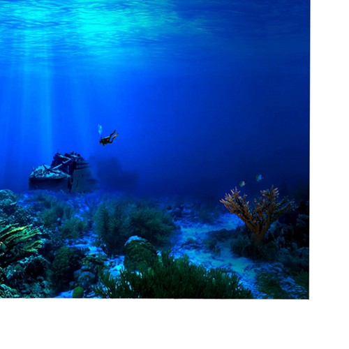 30cm adhesive seaworld - 30cm,