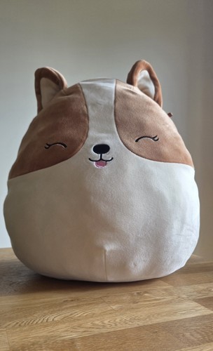 Regina the corgi squishmallow - the,