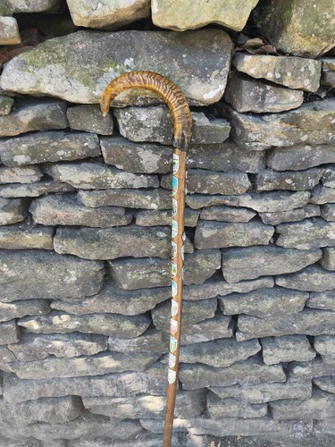 Horn handle walking - handle,