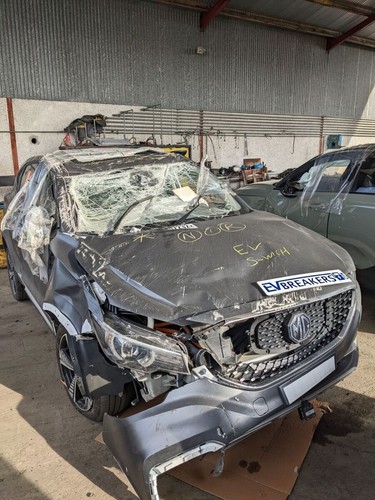 Exclusive 2019 2021 - zs, ev