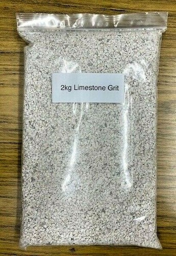 Poultry pigeon limestone - poultry,