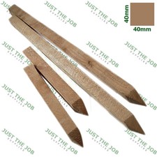 Wooden Marking Out Stakes ~