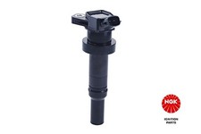 ✅Fits NGK 49048 IGNITION