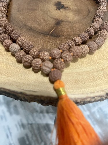 Rudraksha mala rudraksh - rudraksha,