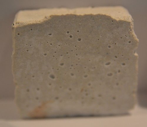 Aragonite coral frag - coral, tile