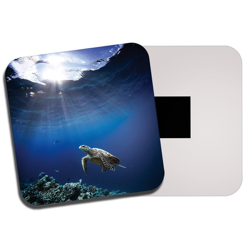 Sea turtle fridge - fridge,