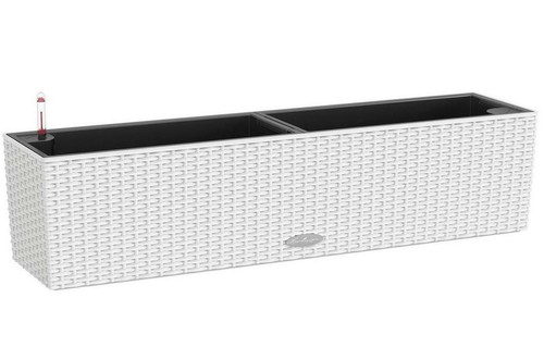 Window box lechuza balconera - box,