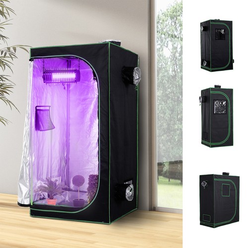 Hydroponic plant grow - hydroponic,