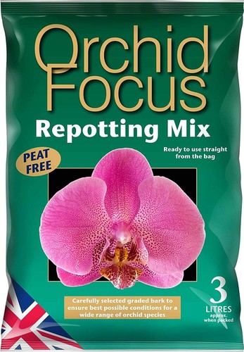 Growth technology orchid - growth, focus