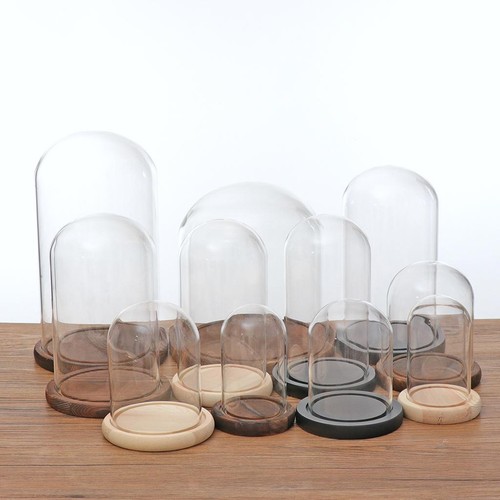 Glass dome cloche with wooden - cloche,