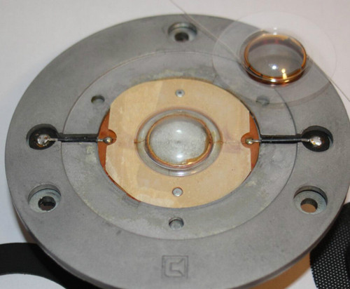 Replacement diaphragm for - replacement,