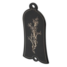 Guitar Truss Rod Cover Iron 2