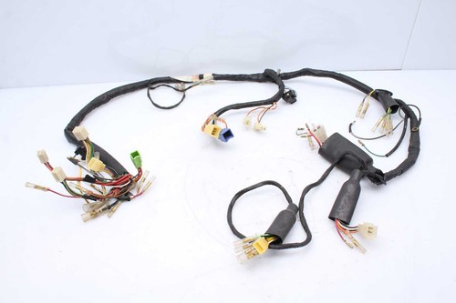 Wiring harness main wiring