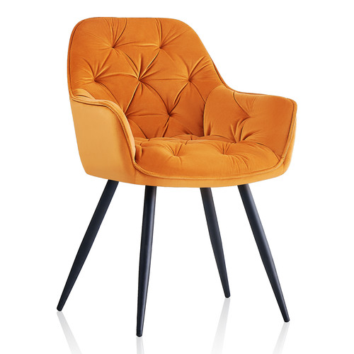 Velvet dining chair padded - 1x,