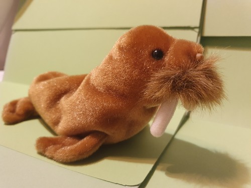 Paul the walrus beanie - the,