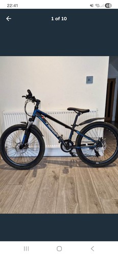 Tiger ace hardtail - 24,