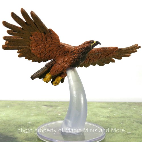 Wild shape polymorph giant - polymorph, ~