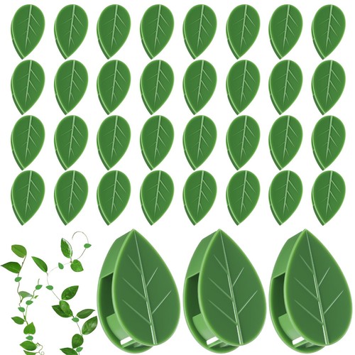 60pc plant climbing - climbing, wall