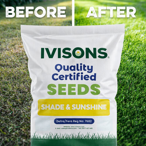 Ivisons grass seed for shaded - ivisons,