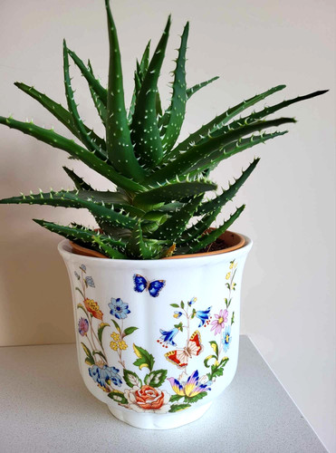 Aynsley cottage garden china - cottage,