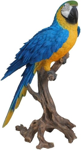 Vivid arts real life perched - vivid,