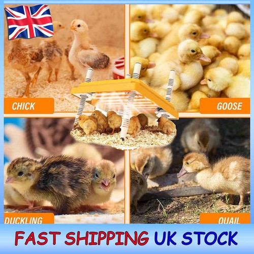 Poultry brooder heating - heating, plate