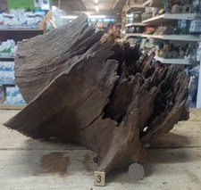 Large Mangrove 30-53cm Root Bogwood Driftwood ideal for aquariums & vivariums