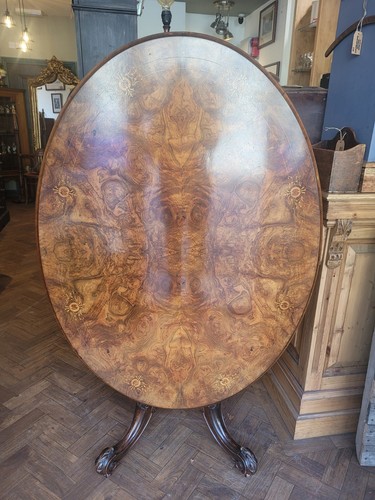 Antique victorian burr walnut - burr,